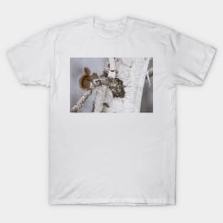 Red Squirrel T-Shirt